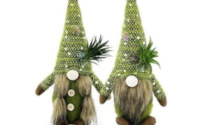 50% off Succulent Plush Spring Gnomes – Just $9.99 shipped!
